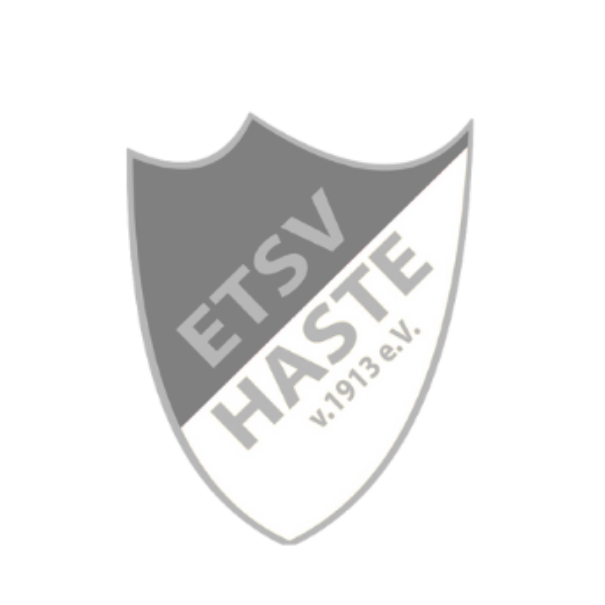 Partner Logo 12