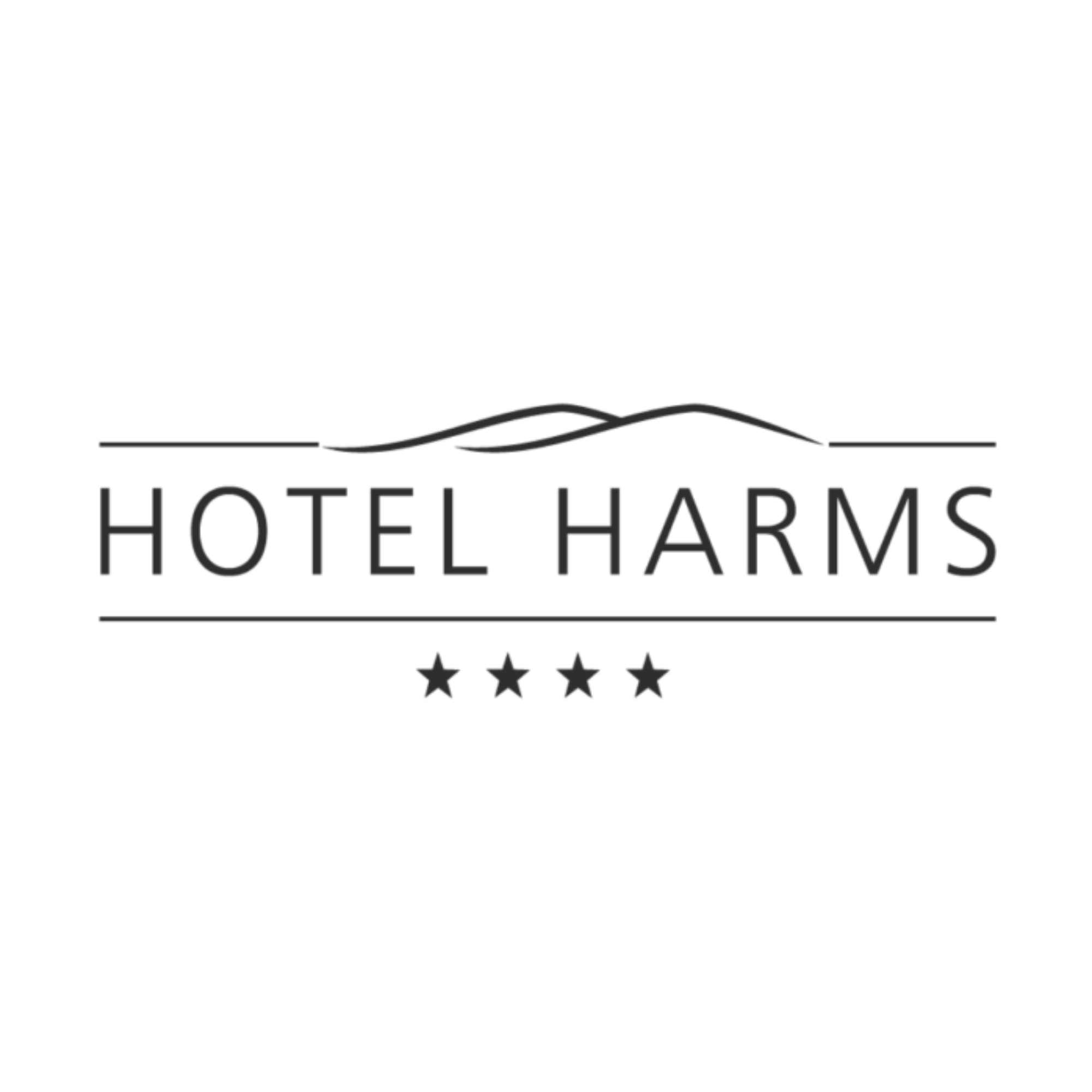 Partner Logo 3
