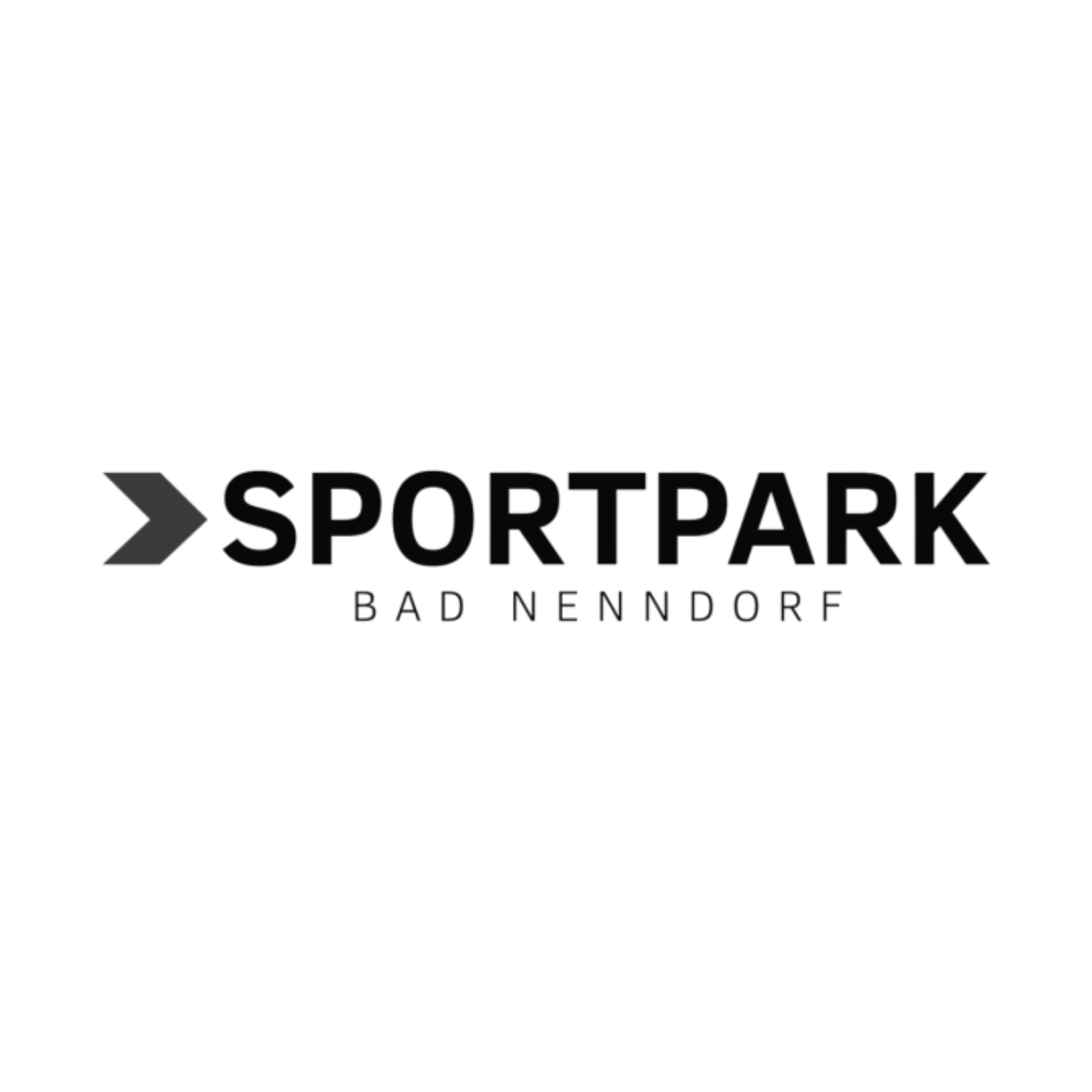 Partner Logo 4